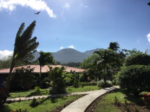 Where the wonderful Dominique lives