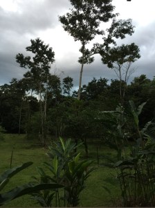 View from the balcony