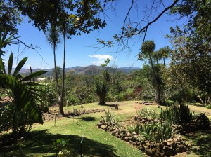 Deserted botanical gardens